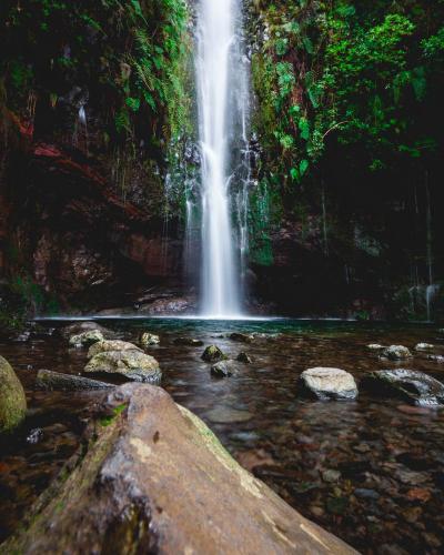 Experience the lush beauty of 25 Fontes Falls surrounded by dense greenery in Madeira's Rabacal region.