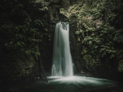Waterfall cascading into a forest pool in the Azores